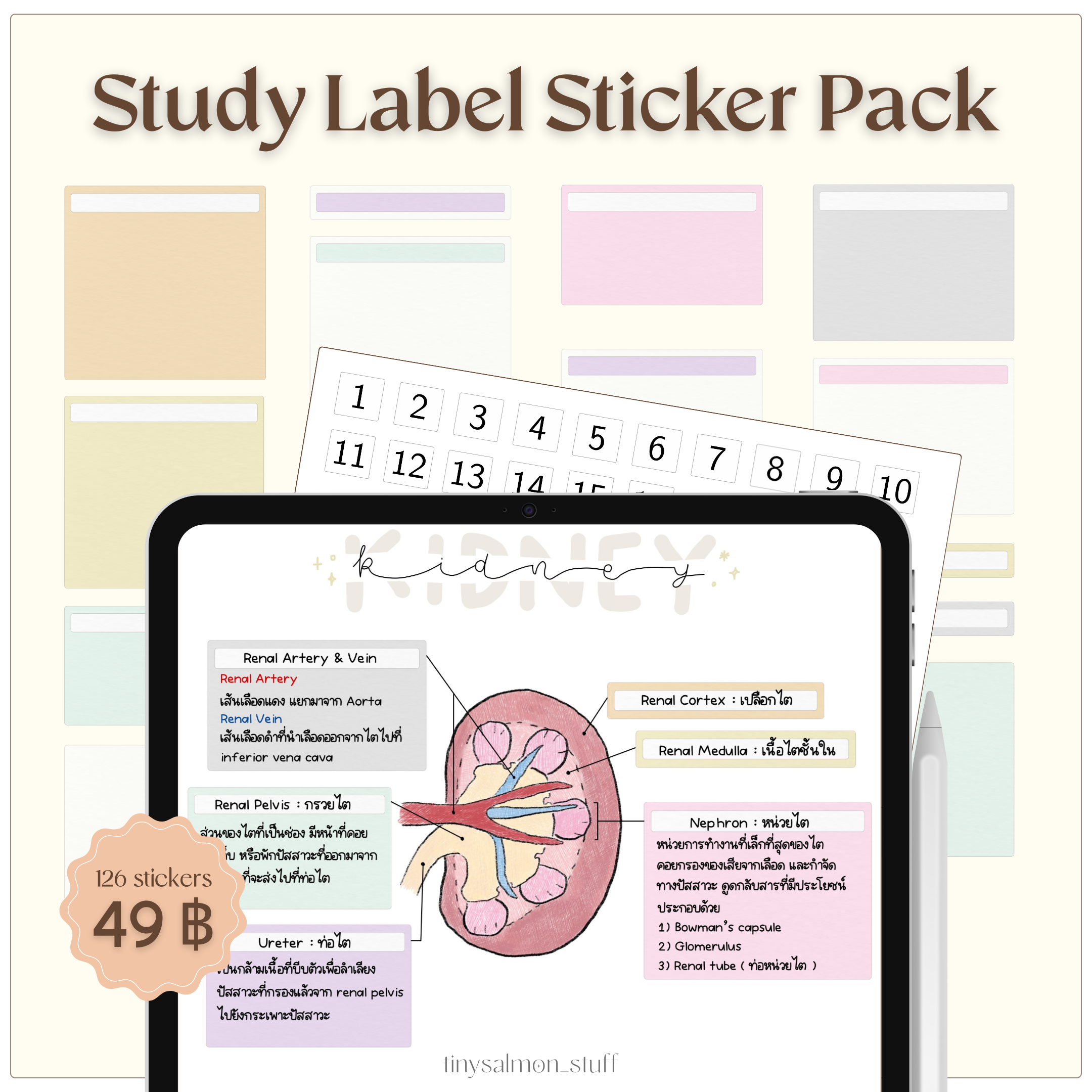 Analysis Sticker Label Study Label Sticker Pack – tinysalmon_stuff
