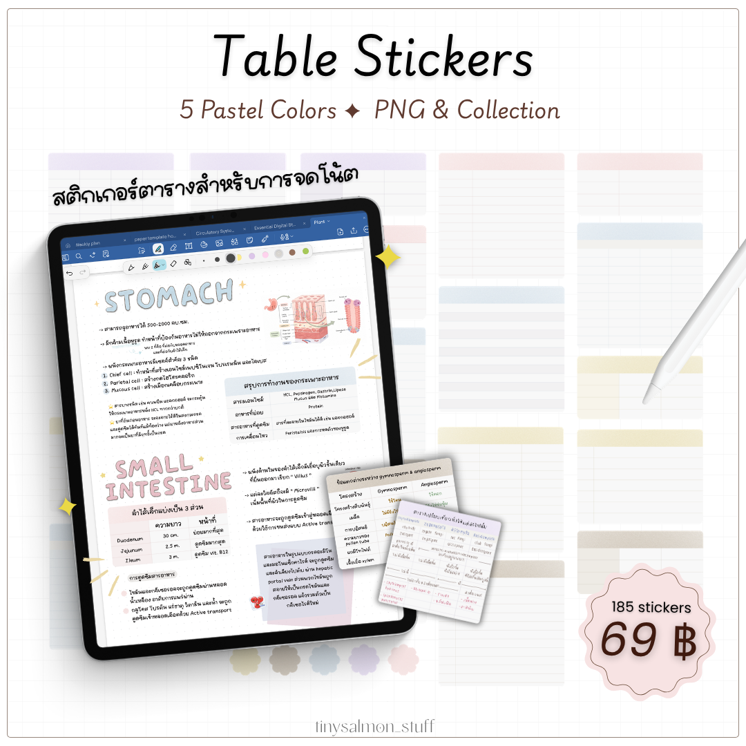 Table Stickers | สติกเกอร์ตาราง 📑