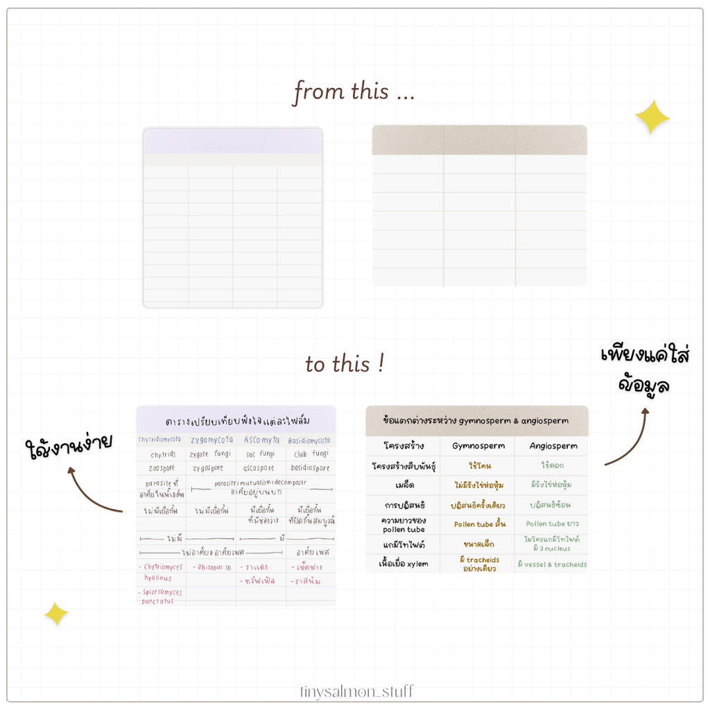Table Stickers | สติกเกอร์ตาราง 📑