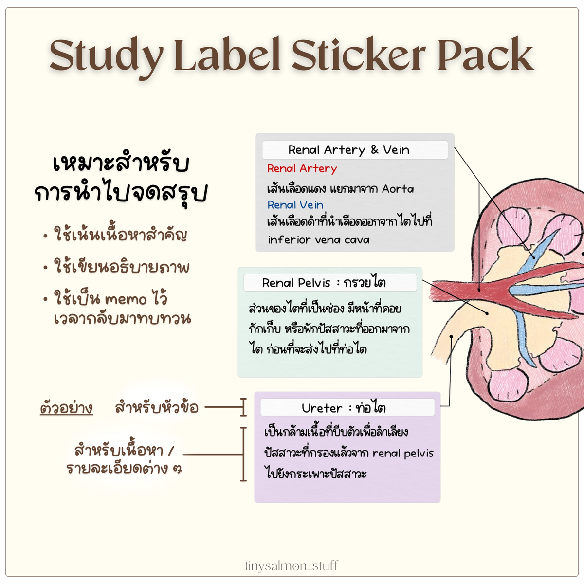 Study Notes Label Study Label Sticker Pack – tinysalmon_stuff