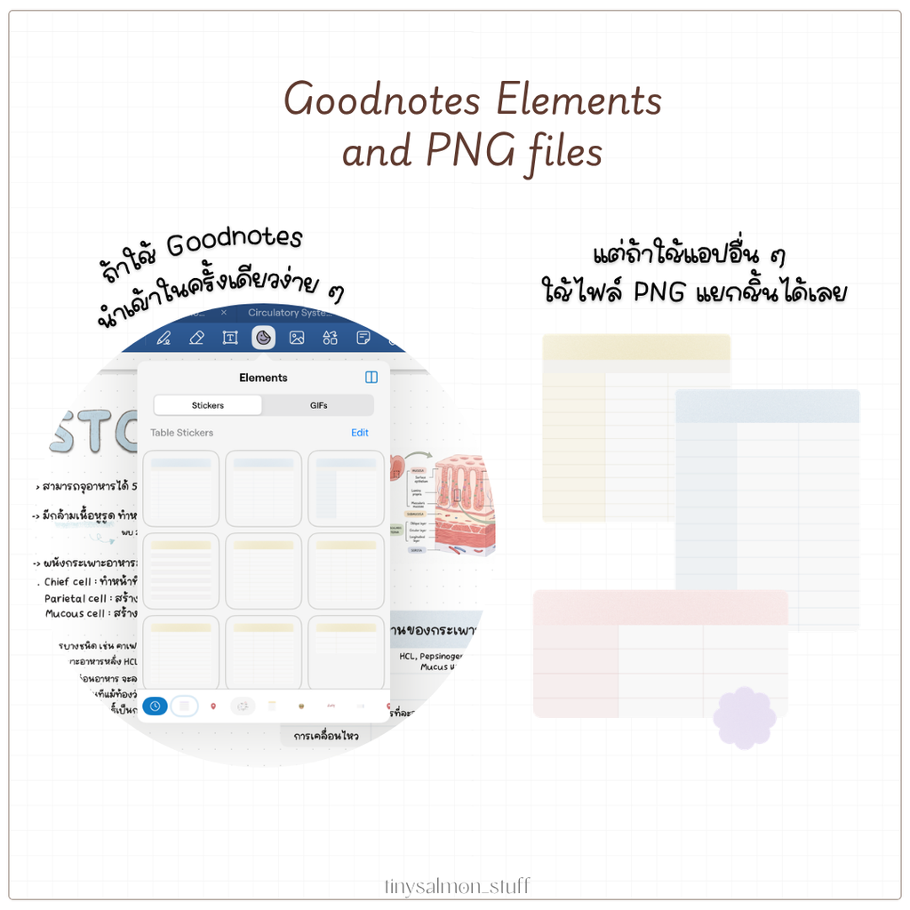 Table Stickers | สติกเกอร์ตาราง 📑