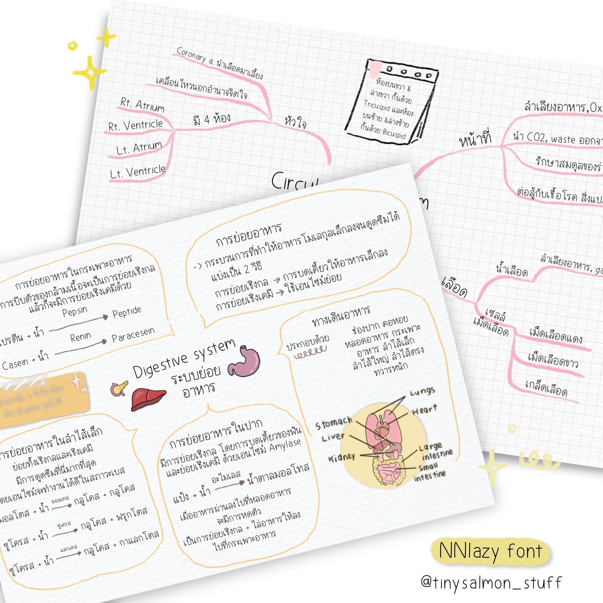 NNlazy Font | ฟอนต์เอ็นเอ็นเลซี่ ✏️