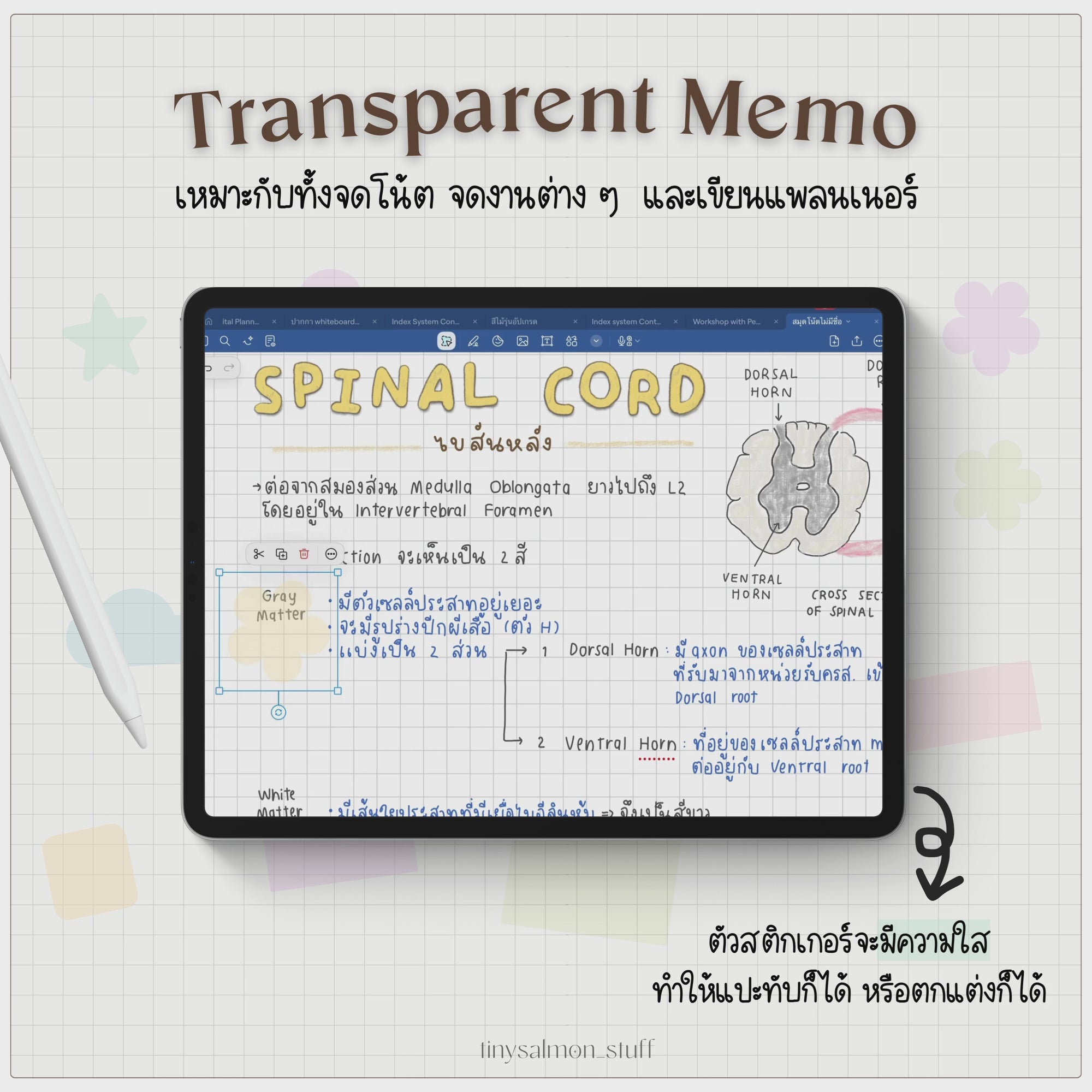 Pastel Transparent Memo